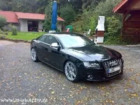 fb991010e3f6a10e38210d9fc163d44b.webp