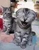 9036825b226de67c9e175add3f42d936.webp