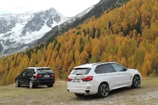 IMG_2730.webp