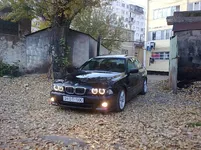 050.webp