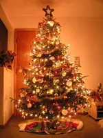 christmas-tree-lights1.webp