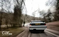 04a4064ce0043fd0f5e415beb4917f25.webp