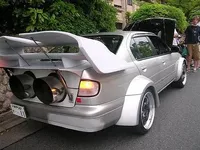 ricer-48377.webp