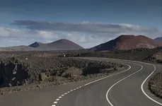 79479_1259175602.webp