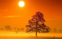 6907034-red-morning-dawn.webp