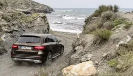 glc24.webp