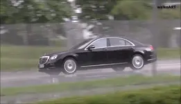 S-Mopf2017-4 (1).webp