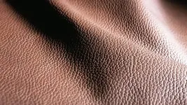 ega_material03_800x450.webp