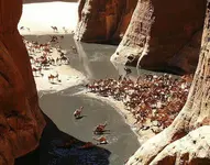 camel_oasis.webp