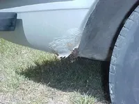 rr.jpg.webp