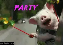 funny-gifs-party-hard-500x360px.jpg.webp