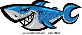 stock-vector-shark-cartoon-vector-illustration-188848163.webp