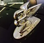 FullSizeRender 13.webp