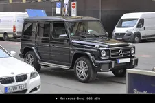 Spotted_Sat_5.webp