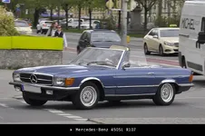 Spotted_Sat_14.webp