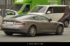 Spotted_Sat_27.webp