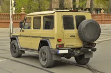 Spotted_Sat_36.webp