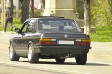 Spotted_Sat_38.webp