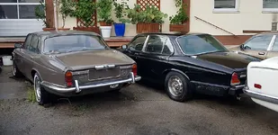 Jaguar_2.webp