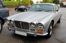 Jaguar_4.webp