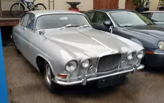 Jaguar_6.webp