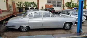 Jaguar_7.webp