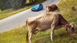 8A7438E3-378F-4C37-996D-4EEBC35124DD.webp