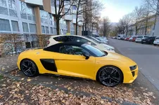 Spotted-14.webp