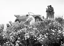 21C0007_018.webp 21C0007_018.webp