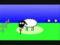 sheep.webp