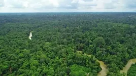 hutan-harapan-forest-protection-team-10-2021-600px.webp