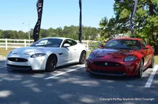 Petit LeMans-01 Oct 11 479.webp