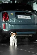 P90471982-showroom-1000px.webp