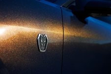 Mustang Dark Horse Badge.webp
