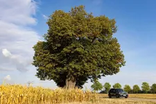 P90479916-bmw-x1-xdrive-23i-09-2022-2248px.webp