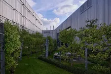 w-group-plant-leipzig-a-green-plant-10-2022-2250px.webp