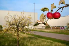 w-group-plant-leipzig-a-green-plant-10-2022-2250px.webp
