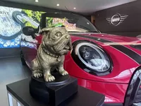 d-winners-highlighting-the-best-mini-dealer-2000px.webp