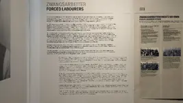 PXL_20230314_133111279.webp PXL_20230314_133111279.webp