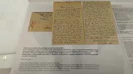 PXL_20230314_133221388.webp PXL_20230314_133221388.webp