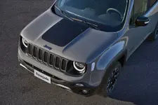 Renegade Upland (7).webp