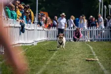 Goodwoof 2023 - 6.webp