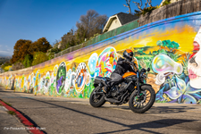 23 Honda SCL500_action lifestyle 1.webp