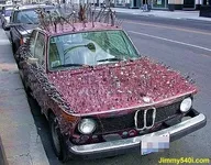 ae966f119898c0d7487c0a818c6a7687.webp