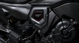 Ducati Diavel for Bentley - 11.webp