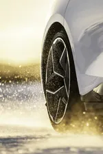 Lotus-Emeya_Cold_Weather_Akoya_White_10.webp
