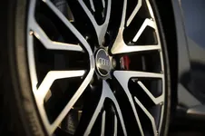 A241549_large.webp