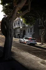 A243312_large.webp