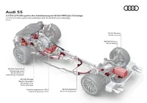 A243440_large.webp