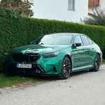 IMG_7261.webp